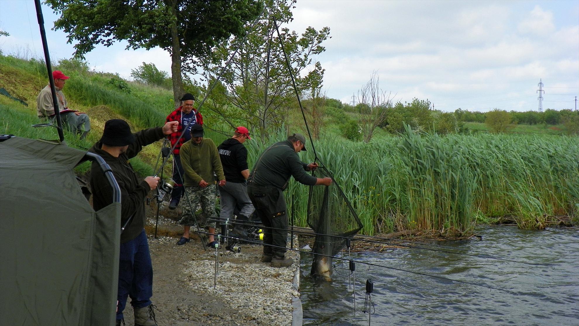 Crapmania - 2011 - 1000985.JPG